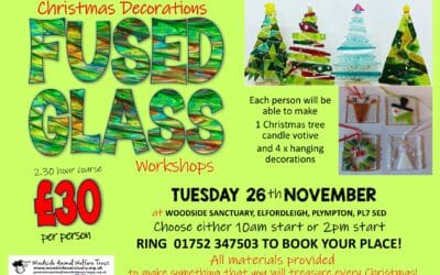 Christmas Fused Glass Workshop