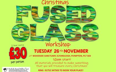 Christmas Fused Glass Workshop