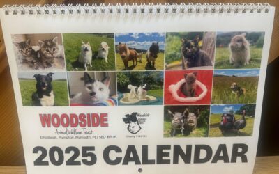 2025 Calendar