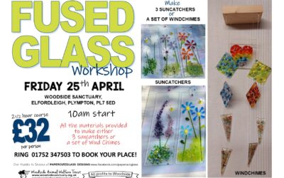 Fused Glass Workshop