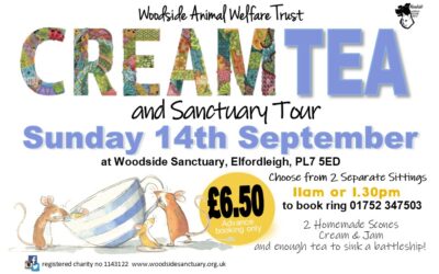 Cream Tea & Sanctuary Tour